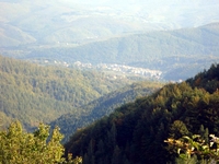 Novi Travnik